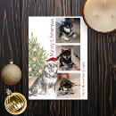 Search for shiba inu christmas cards Pet