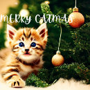 Search for purrfect christmas cards Cute
