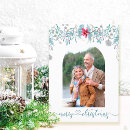 Search for pine trees christmas cards Poinsettia