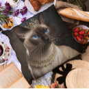 Search for siamese cat cushions Cute