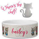 Search for cat bowls Text