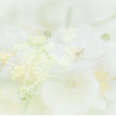 Search for macro business cards Foto