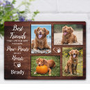 Search for pet memorials In loving memory