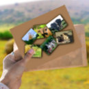 Search for for dark postcards Animal