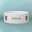 Search for cute labrador retriever Dog