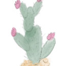 Search for watercolor cactus stickers Cute