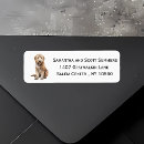 Search for goldendoodle Watercolor