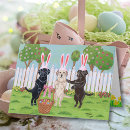 Search for labrador easter cards Retriever