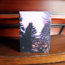 Search for hue cards Tree