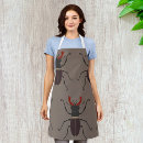 Search for beetles aprons Stag beetle