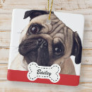 Search for funny family christmas tree decorations Pet