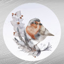 Search for robin redbreast stickers Watercolor