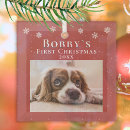 Search for puppy christmas tree decorations Festive