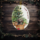 Search for black lab puppy christmas tree decorations Animal