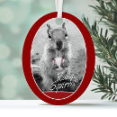 Search for championing christmas tree decorations Champions