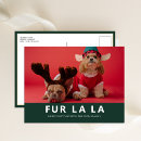 Search for dog and cat christmas cards Modern