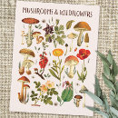 Search for wall art postcards Colourful