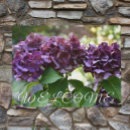 Search for hydrangea doormats Botanical