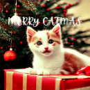 Search for purrfect christmas cards Cute