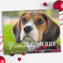 Search for animal lover christmas cards Pet
