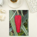 Search for dragon notebooks Botanical