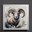 Search for sheep painting posters Watercolor