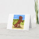Search for setter cards Irish setter dog