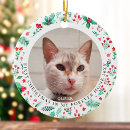 Search for watercolor christmas tree decorations Cat