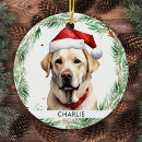 Search for labrador christmas decor Dog lover