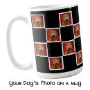 Search for cute dad mugs For pets