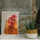 Search for farmyard posters Hen