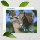Search for cute squirrels postcards Woodland