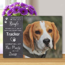 Search for beagle memorial Remembrance