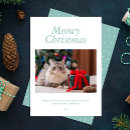Search for merry mom christmas cards Pet photo