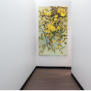 Search for jasmine flowers art Botanical