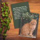 Search for fur baby fathers day cards Kitten