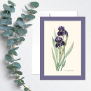 Search for bearded iris cards Irises