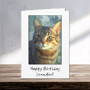Search for curious cat Happy
