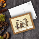 Search for yellow stripe postcards Animal