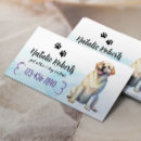 Search for dog grooming Pet sitter