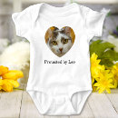 Search for cat baby clothes Cute
