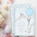 Search for little bunny invitations Boy