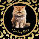 Search for angry face mugs Crazy cat lady
