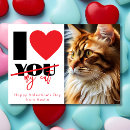 Search for funny cat valentines day cards Happy valentine's day