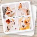 Search for announcing death of dog Celebration of life