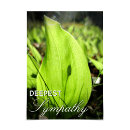 Search for deepest cards Condolences