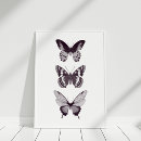 Search for butterfly posters Illustration