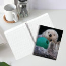 Search for otter notebooks Cute