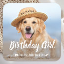 Search for pet stickers birthday
