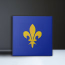 Search for french blue tiles Fleur de lis